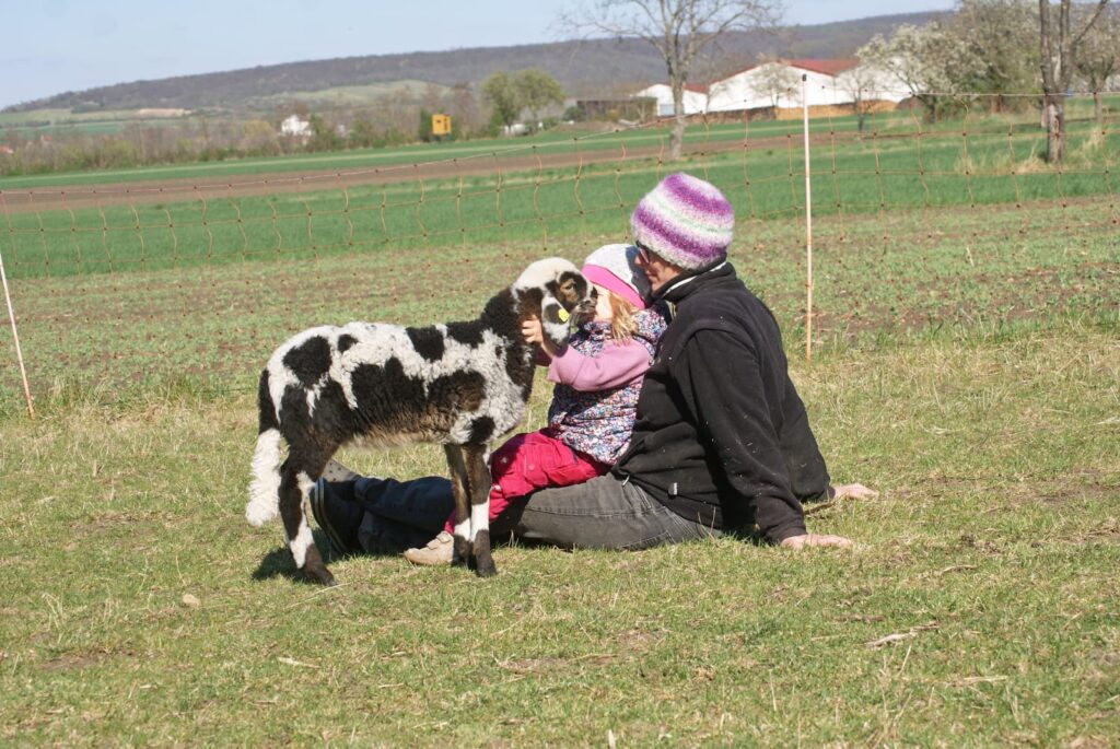 Ein Gruppenkuscheln mit Bäuerin Simone, ihrer kleinen Romy und einem Lamm.