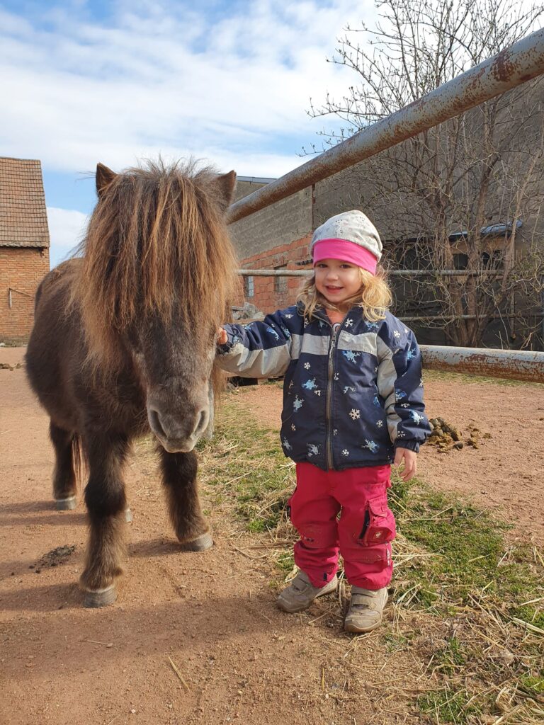 Das Pony Moritz-bleibt-treu mit Jungbäuerin Romy.